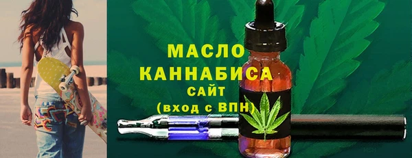 индика Краснотурьинск