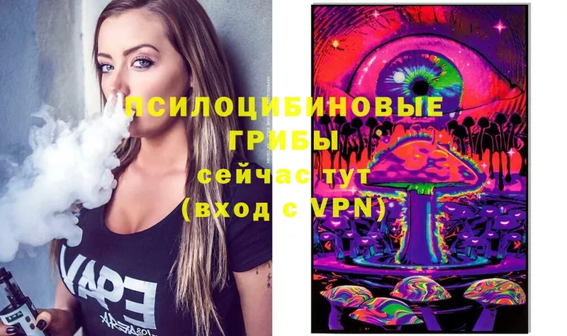 Псилоцибиновые грибы мицелий Лобня